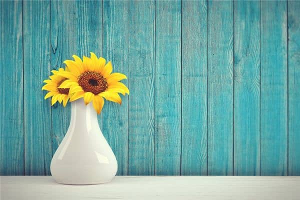 梦见黄色是什么意思 梦见黄色是什么意思