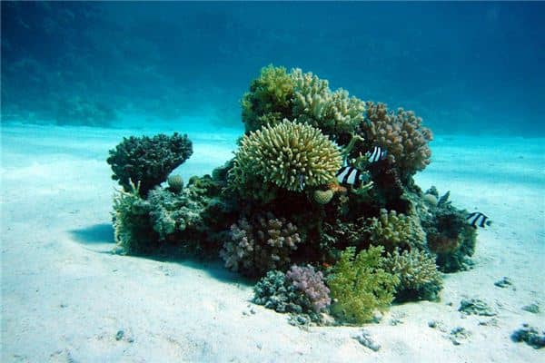 梦见海底是什么意思 梦见海底是什么意思