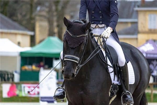 梦见骑兵是什么意思 梦见骑兵是什么意思