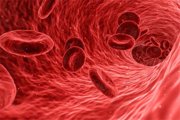 梦见静脉血管是什么意思 梦见静脉血管是什么意思