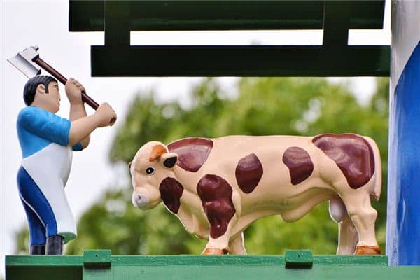 梦见屠夫是什么意思 梦见屠夫是什么意思