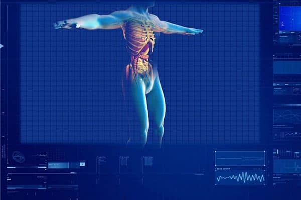 梦见肾脏是什么意思