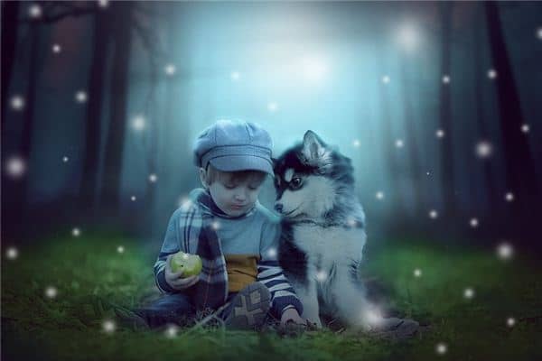 梦见外国小孩是什么意思 梦见外国小孩是什么意思