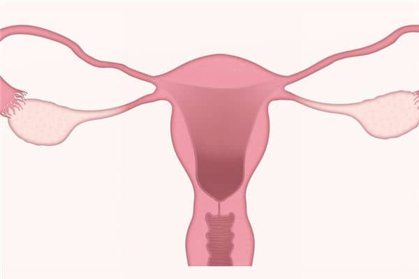 梦见阴道是什么意思 梦见阴道是什么意思