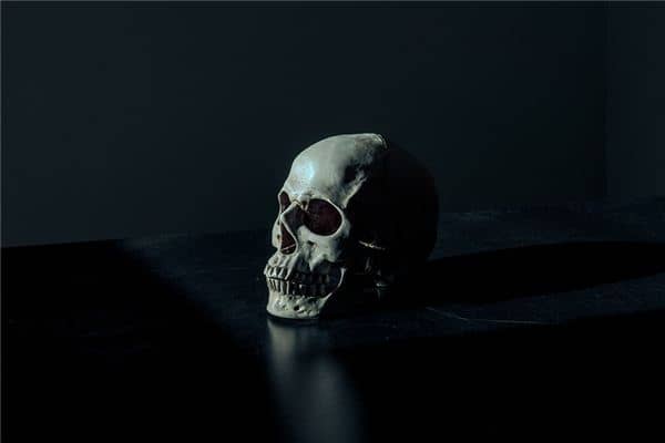 梦见头骨是什么意思 梦见头骨是什么意思