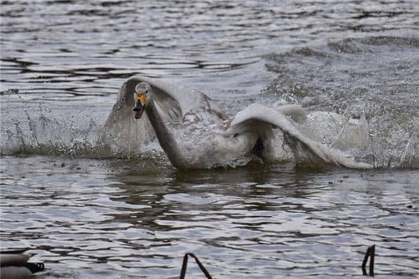 梦见逃走是什么意思 梦见逃走是什么意思