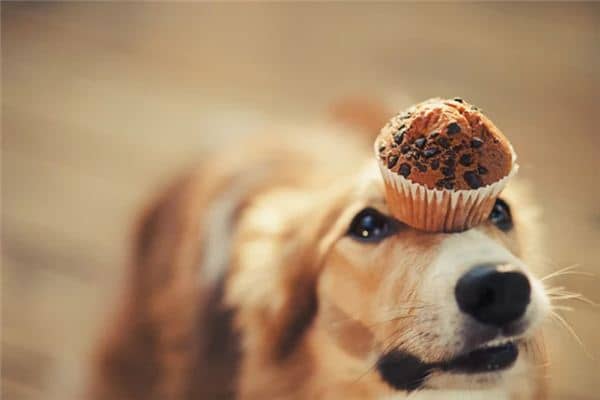 梦见嘲弄是什么意思 梦见嘲弄是什么意思