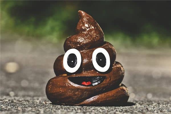 梦见粘屎是什么意思 梦见粘屎是什么意思