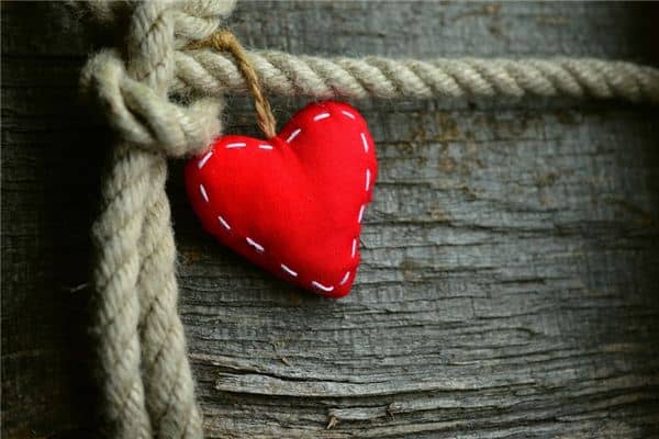 梦见忠诚是什么意思 梦见忠诚是什么意思