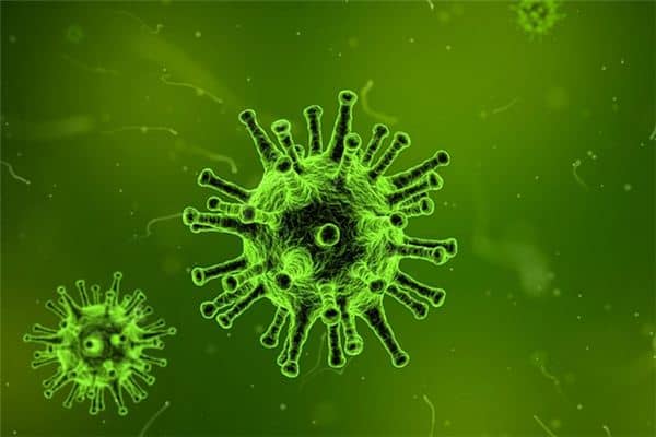 梦见细菌是什么意思 梦见细菌是什么意思