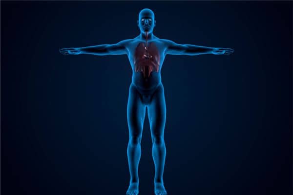 梦见X光照片 伦琴放射线