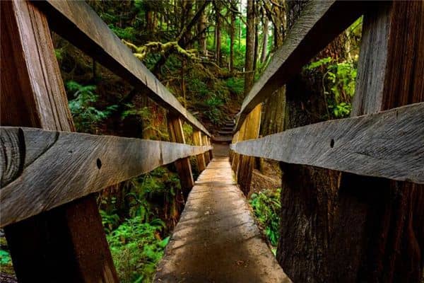 梦见踏空是什么意思 梦见踏空是什么意思