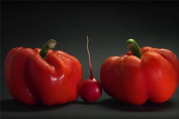 梦见自己劝架是什么意思 梦见自己劝架是什么意思