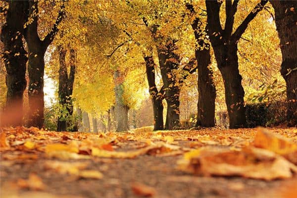 梦见往事是什么意思 梦见往事是什么意思