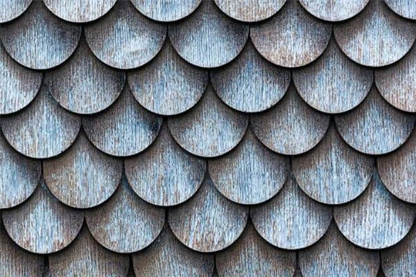 梦见鳞癣是什么意思 梦见鳞癣是什么意思