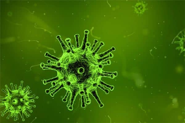 梦见霍乱是什么意思 梦见霍乱是什么意思