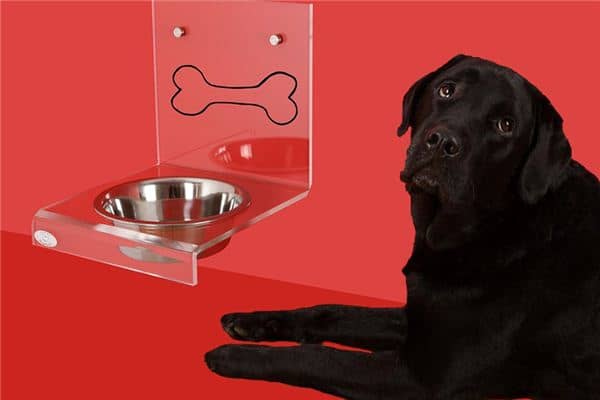 梦见喂狗是什么意思 梦见喂狗是什么意思