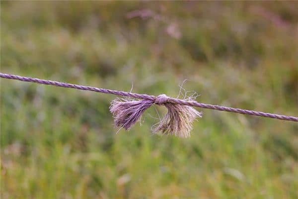 梦见连接断线是什么意思 梦见连接断线是什么意思