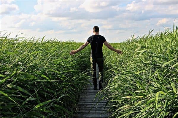 梦见逆风步行是什么意思 梦见逆风步行是什么意思