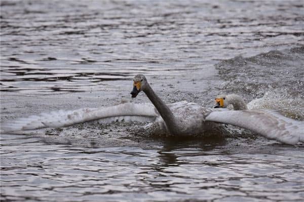 梦见逃离是什么意思 梦见逃离是什么意思