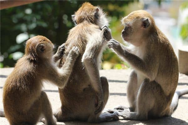 梦见痒是什么意思 梦见痒是什么意思