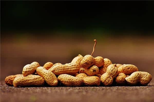 梦见吃花生 梦见吃花生