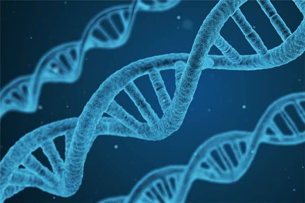 梦见疝带是什么意思 梦见疝带是什么意思