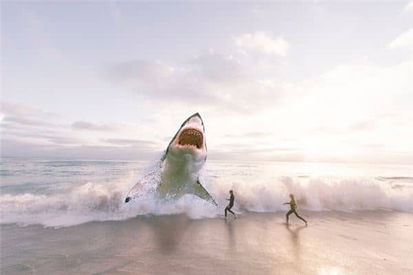 梦见被鱼吃是什么意思 梦见被鱼吃是什么意思