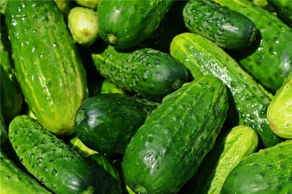 梦见吃黄瓜是什么意思 梦见吃黄瓜是什么意思