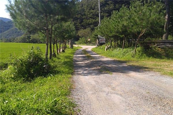 梦见路断了是什么意思 梦见路断了是什么意思