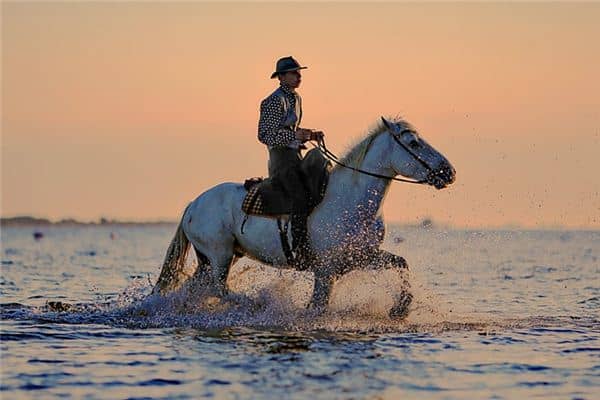 梦见骑马过海是什么意思 梦见骑马过海是什么意思