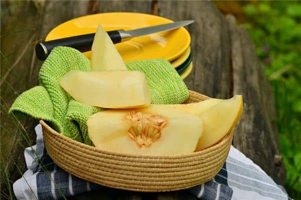 梦见吃甜瓜是什么意思 梦见吃甜瓜是什么意思