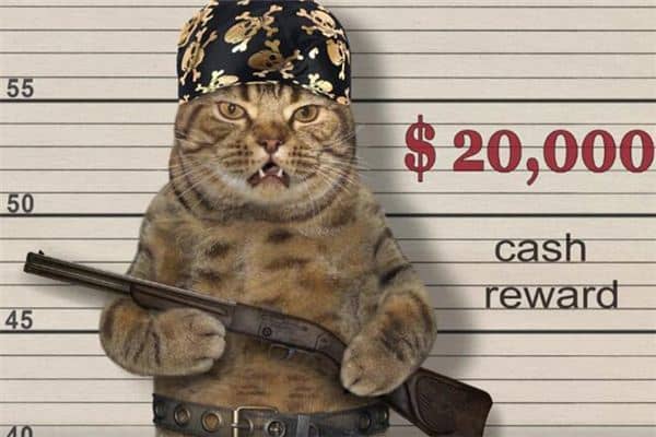 梦见被通缉是什么意思 梦见被通缉是什么意思