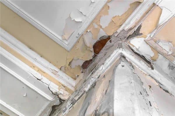 梦见房屋漏水是什么意思 梦见房屋漏水是什么意思