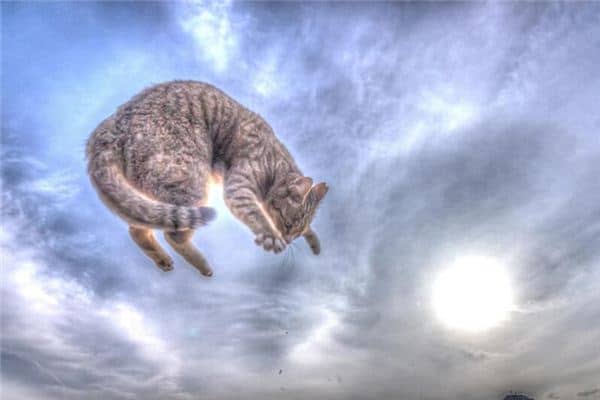 梦见踩空是什么意思 梦见踩空是什么意思