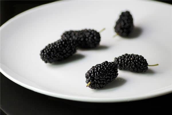 梦见吃桑葚是什么意思 梦见吃桑葚是什么意思