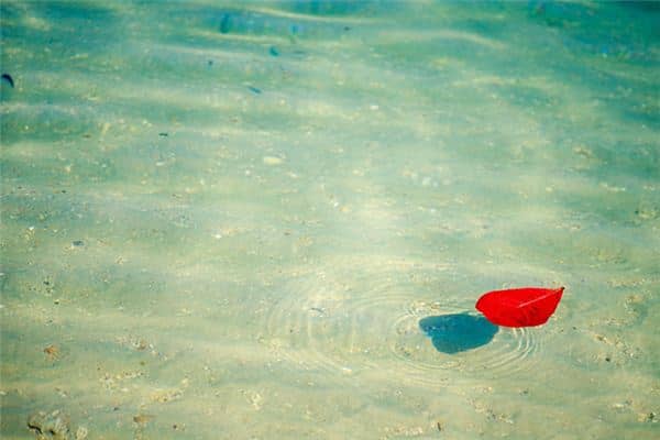 梦见水中飘浮是什么意思 梦见水中飘浮是什么意思