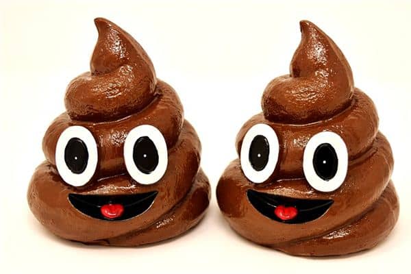 梦到踩屎 梦到踩屎