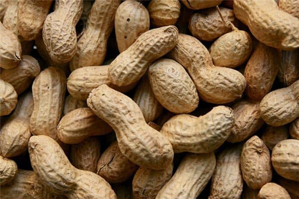 梦见花生米是什么预兆 梦见花生米是什么预兆