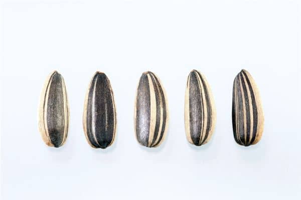 做梦嗑瓜子是什么意思 做梦嗑瓜子是什么意思