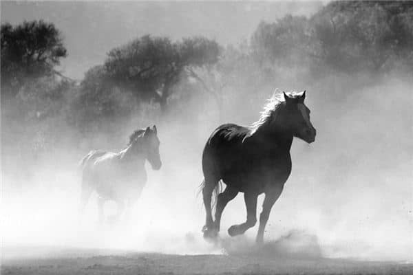 梦见自由是什么意思 梦见自由是什么意思