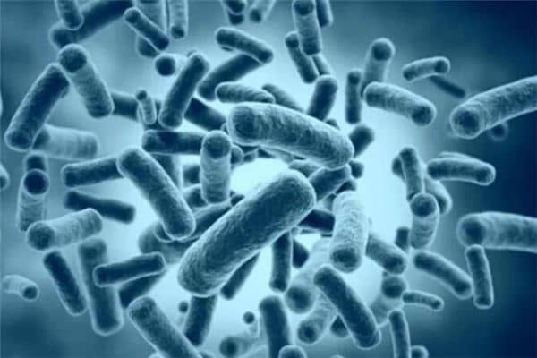 梦见疟疾是什么意思 梦见疟疾是什么意思