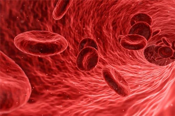 梦到流血 梦到流血