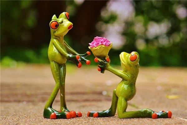 梦见求婚是什么意思 梦见求婚是什么意思