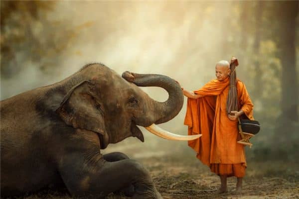 梦见施舍是什么意思 梦见施舍是什么意思