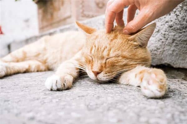 梦见打扰是什么意思 梦见打扰是什么意思