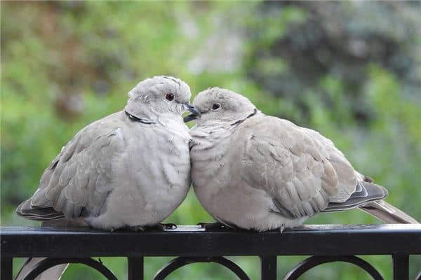 梦见巴结是什么意思 梦见巴结是什么意思