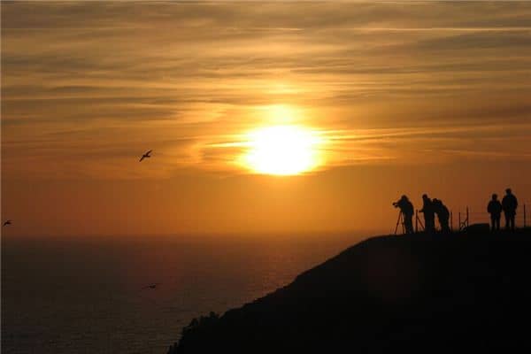 梦见失足落崖是什么意思 梦见失足落崖是什么意思