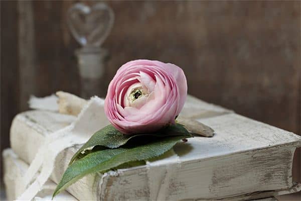 梦见往昔旧物是什么意思 梦见往昔旧物是什么意思