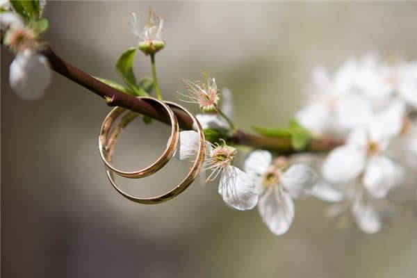 梦见圆环是什么意思 梦见圆环是什么意思